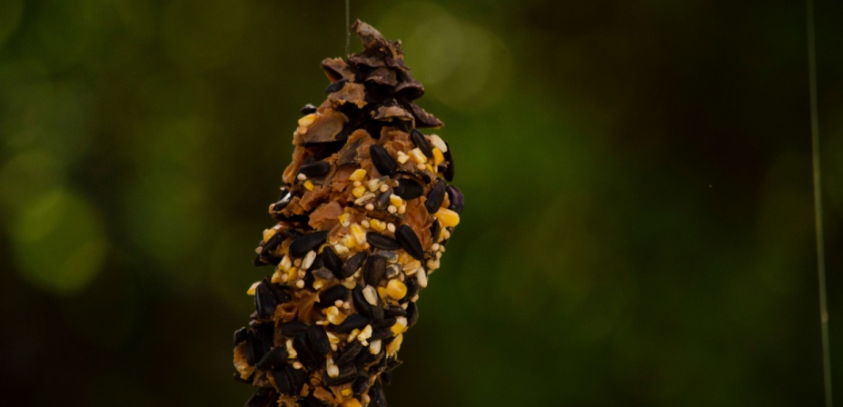 A fun pinecone bird feeder winter craft activity for preschoolers. 