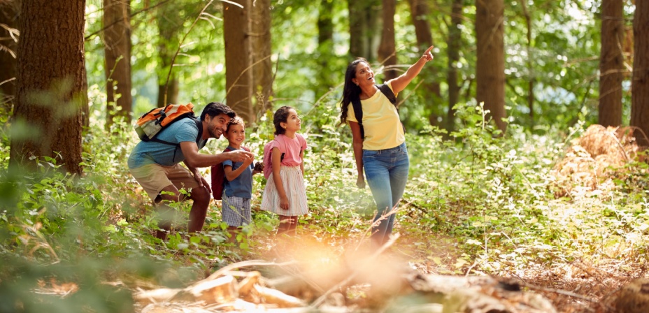 A young family going on a hike in the woods looking up at the sky. 