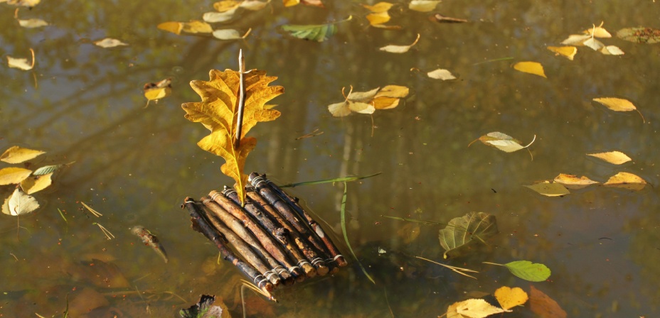 A stick raft floating in a murky lake. 