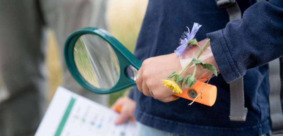 A child doing a spring scavenger hunt in this fun spring activity for kids. 