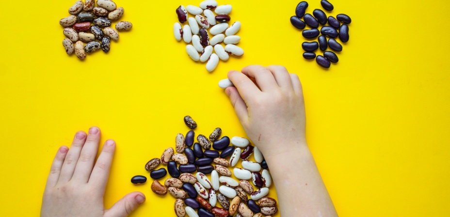 Childs hand sorting beans on a yellow background. 