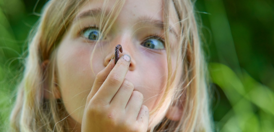 A child holding a worm in front of her nose looking at it up close. 